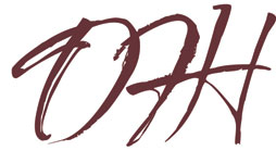DFH Company Logo Design